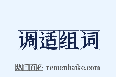 调适组词是什么意思的图片
